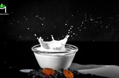 Dòng sản phẩm sữa thực vật lên ngôi do xu hướng tiêu dùng vì sức khỏe