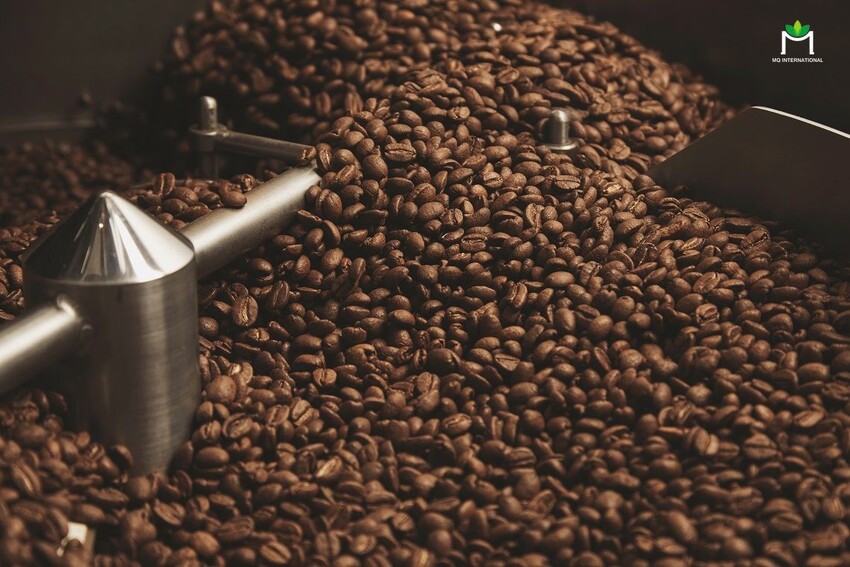 Cùi hạt cafe là thành phần chủ yếu tạo nên sự khác biệt giữa các cách chế biến