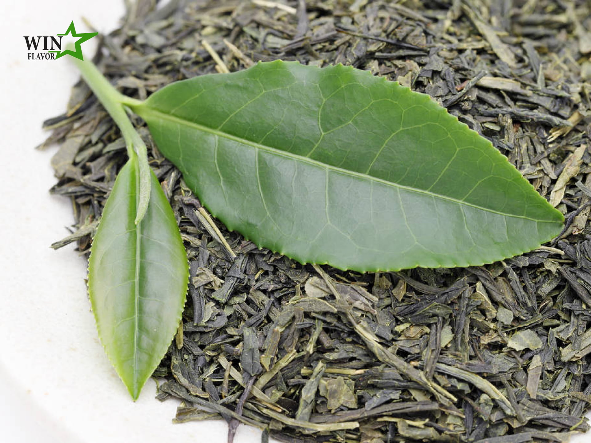 chiết xuất trà xanh từ lá trà xanh